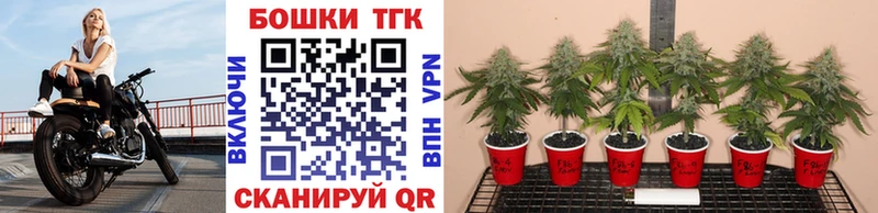 mega ТОР  Зарайск  Конопля план 